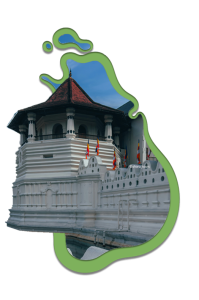 Slider_sharutours_temple-of-tooth