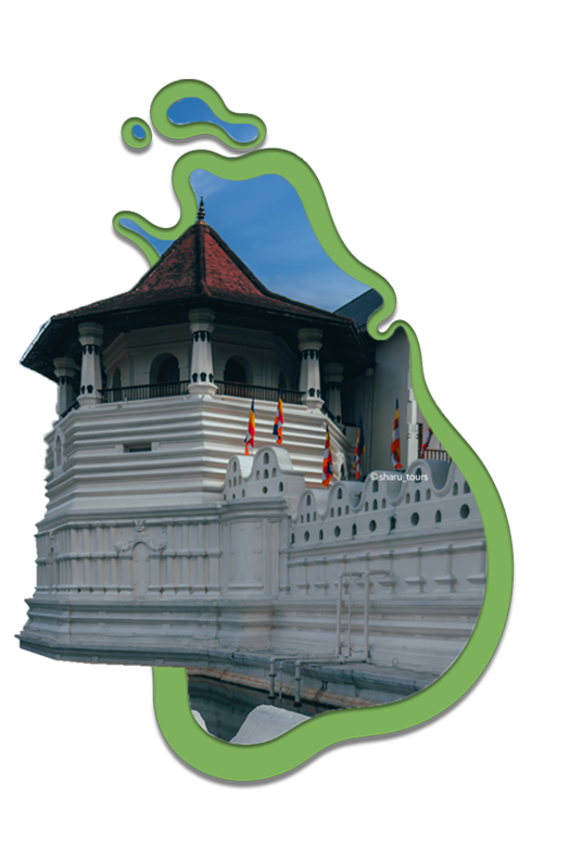 Slider_sharutours_temple-of-tooth