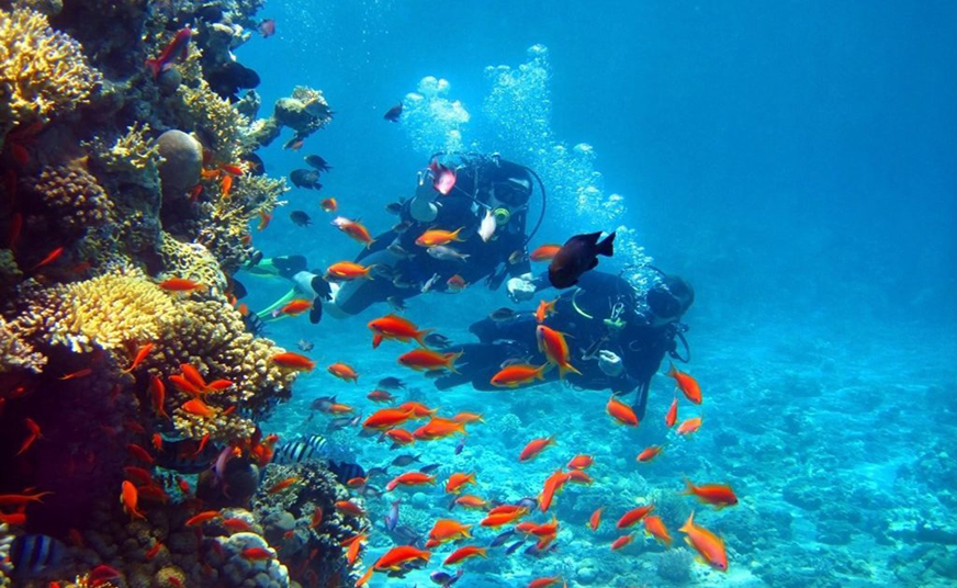 Coral Garden National Park