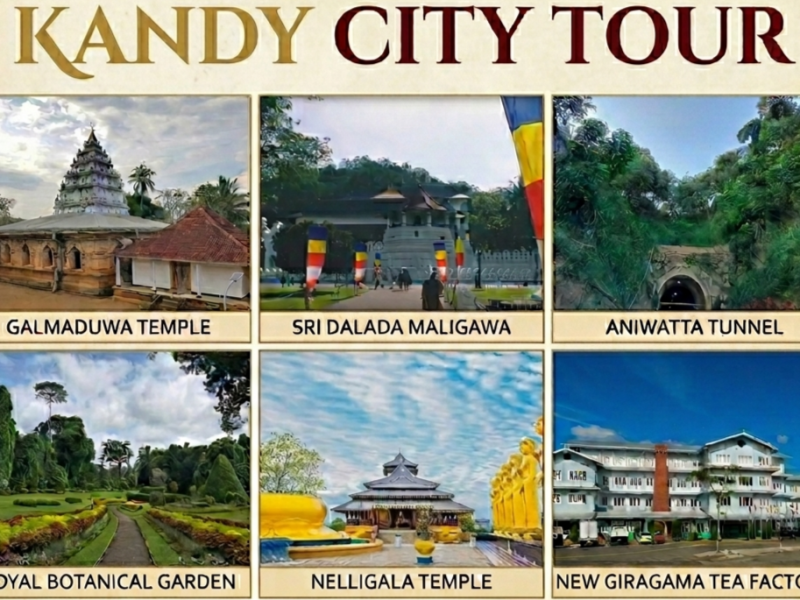 Kandy City Tour