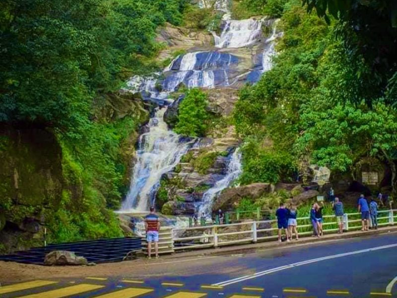 Ella