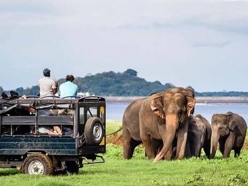 Yala National Park